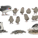 Illustration for article titled iThe Last Jedis/i Porgs Are Just Puffins, Which The Film Crew Couldnt Get Rid Of